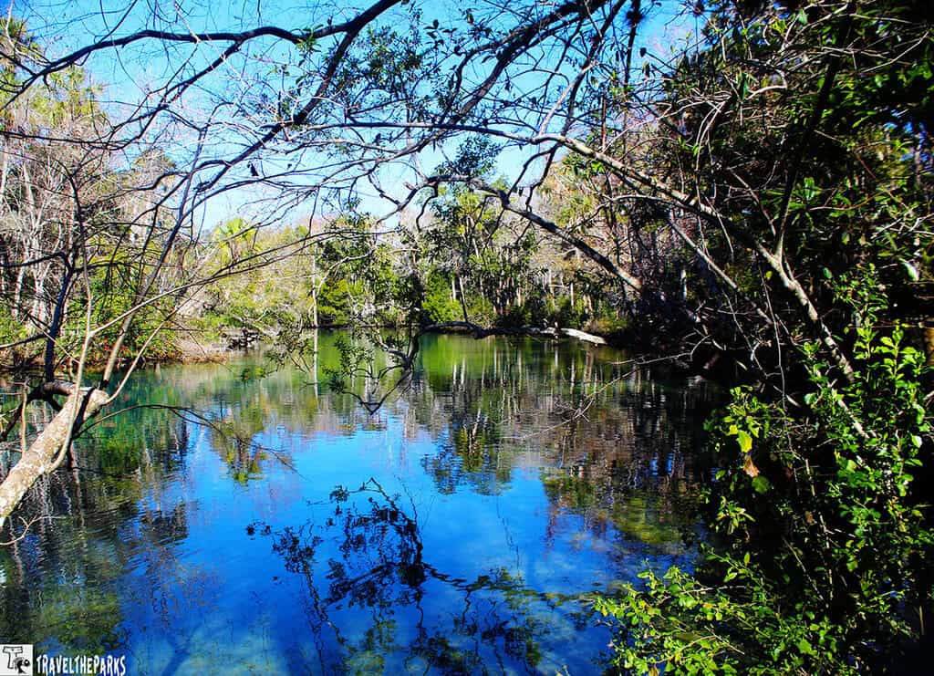 A serene view of a reflective body of water surrounded by lush greenery and arches of tree branches under a bright blue sky.