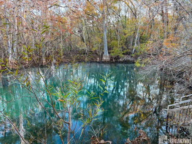 A tranquil pond surrounded by autumnal trees with clear, reflective water.