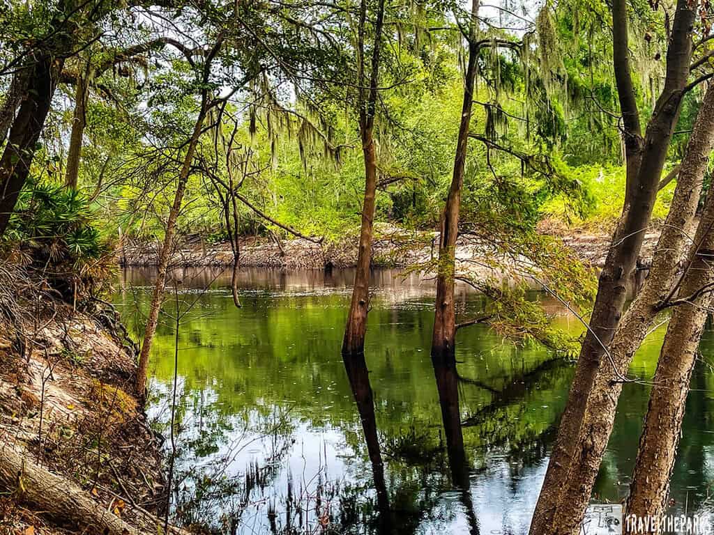 A Florida Nature Coast seascape with dark clouds overhead and sunlight illuminating patches of the ocean and clouds.