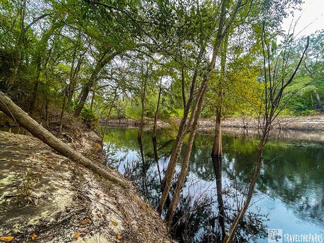 A peaceful river scene with leaning trees reflecting in calm water and a sandy bank.