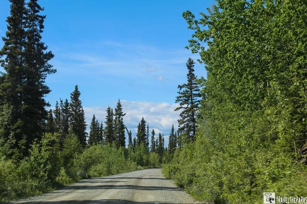 McCarthy Road to Kennecott Mine gravel road with evergreens and green srubs along the edge.