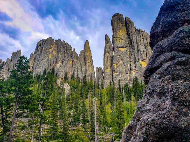 Cathedral Spires Trail Custer State Park: Tall rock spires surrounded by dense pine trees under a partly cloudy sky.