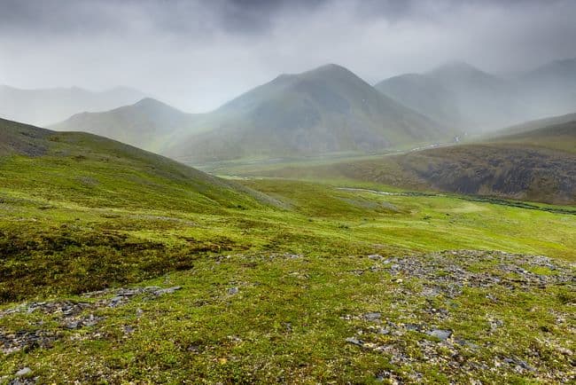 Rain and mist in the Brooks Range foothills near Fairbanks Alaska