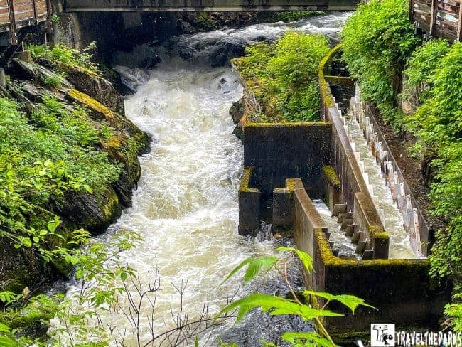 Fish ladder at Ketchikan Creek with rushing water and surrounding greenery.