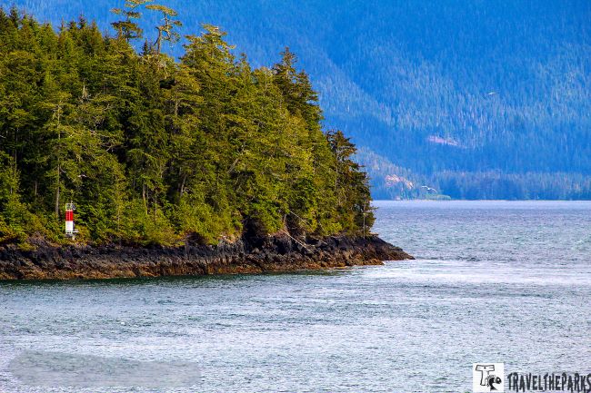 A coastal inside passage alaska landscape with dense evergreen trees on a rocky shoreline and calm blue-green water.