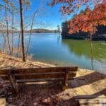 Wooden bench overlooking a lake with surrounding trees in autumn at Lake Catherine State Park.