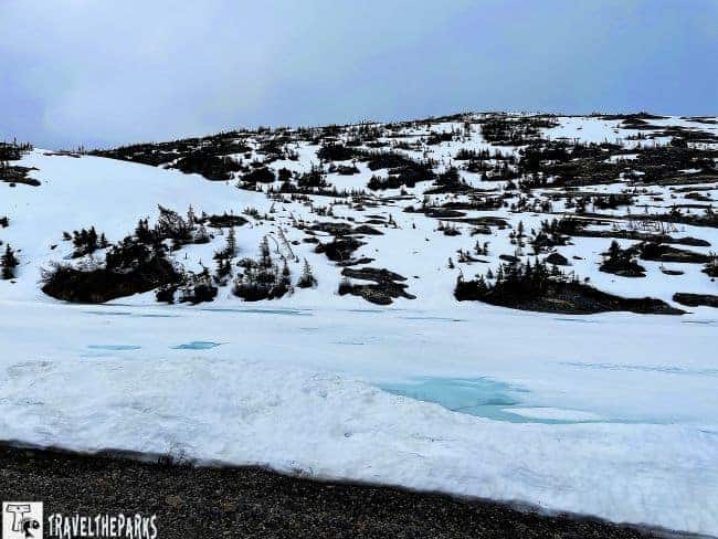 Summit of White's Pass tundra blue melting glacial pond-Snowy landscape with evergreen trees and icy patches under an overcast sky.