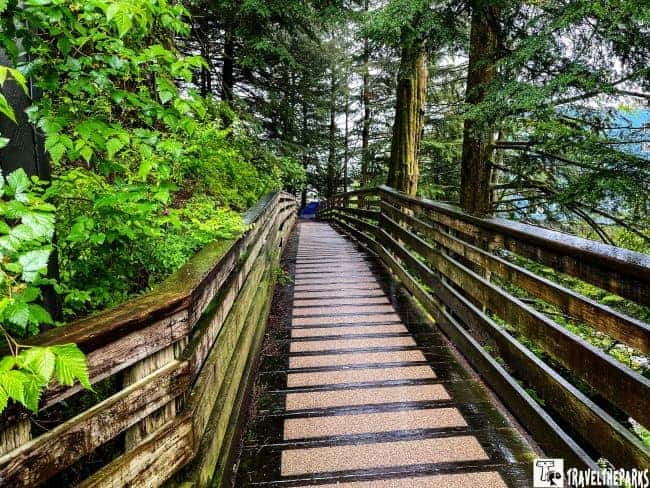 Married Man's Trail Boardwalk a wooden walkway with railings and trees Creek Street Ketchikan