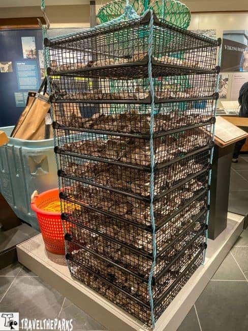A large cage filled with oysters on display at the Tongass Museum - Ketchikan
