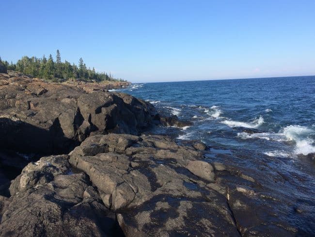Rocky shoreline with coniferous trees and a clear blue sky.