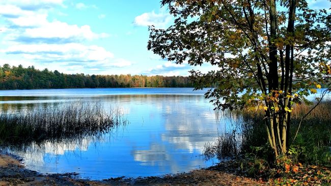 The reflection on the lake trees in the forground-Isle Royale National Park