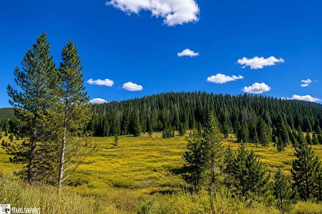 Views of the San Juan National Forest as part of our best-10-day-national-park-Colorado-trip-itinerary