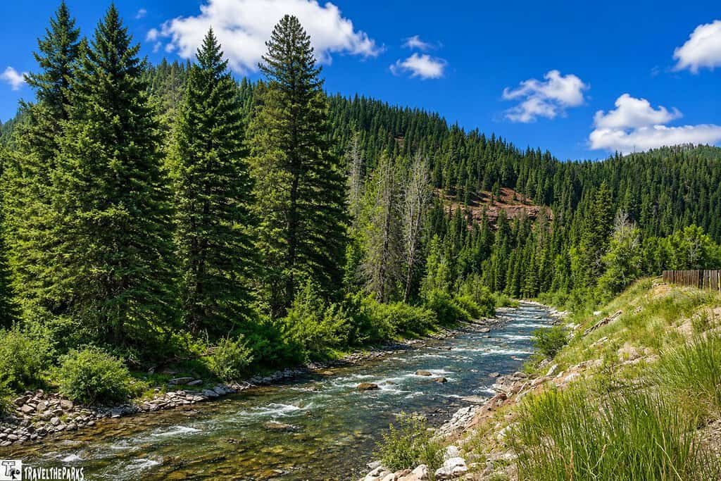 A clear stream flows through a lush landscape of evergreen trees and rocky banks beneath a bright blue sky.


