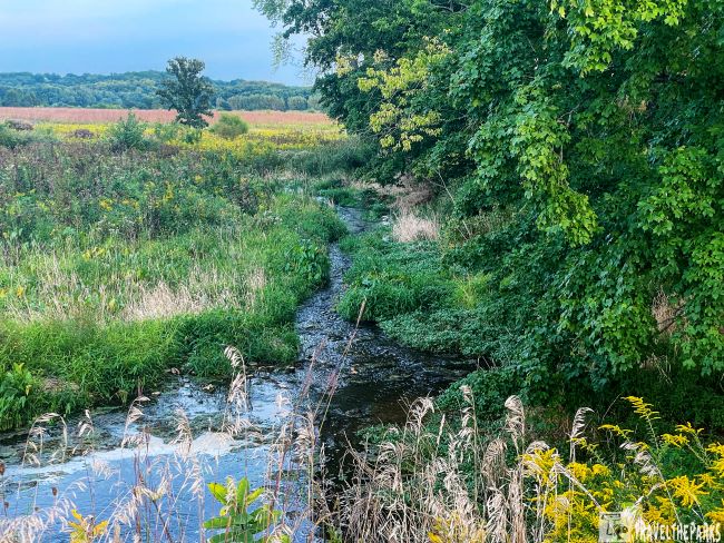 A small stream flowing through a lush green landscape with tall grasses and dense trees in Prophetstown State Park, Trail 3.