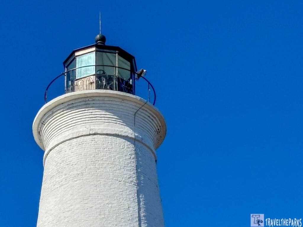 the upper portion of a cylindrical lighthouse located at St. Marks National Wildlife Refuge. The lighthouse is constructed from white bricks, creating a textured appearance. At the top sits a black metal balcony surrounding the lantern room, which has glass panes and a black, conical roof. The sky is a clear, vibrant blue, providing a stark contrast to the white structure. The image captures the lighthouse from a slightly low angle, emphasizing its height and prominence.