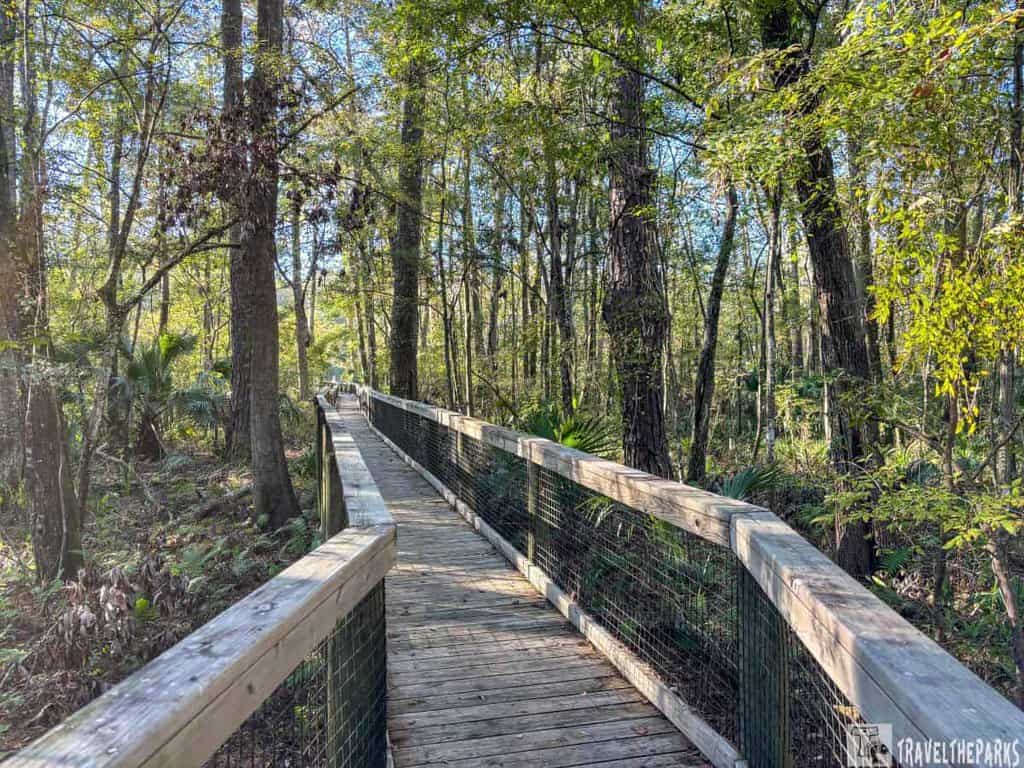 A wooden boardwalk through a dense, sunlit forest with green mesh railings.