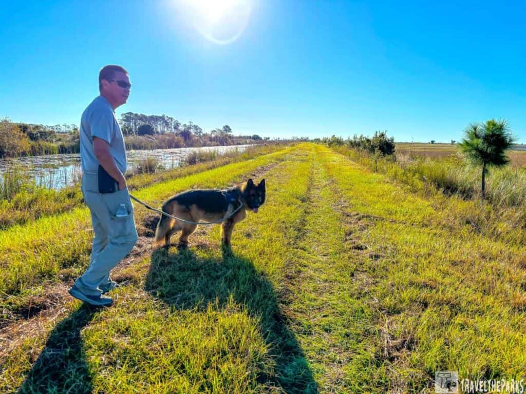 Person walking a German Shepherd on a grassy trail with blue sky and sunlight at St Marks National Wildlife Refuge.