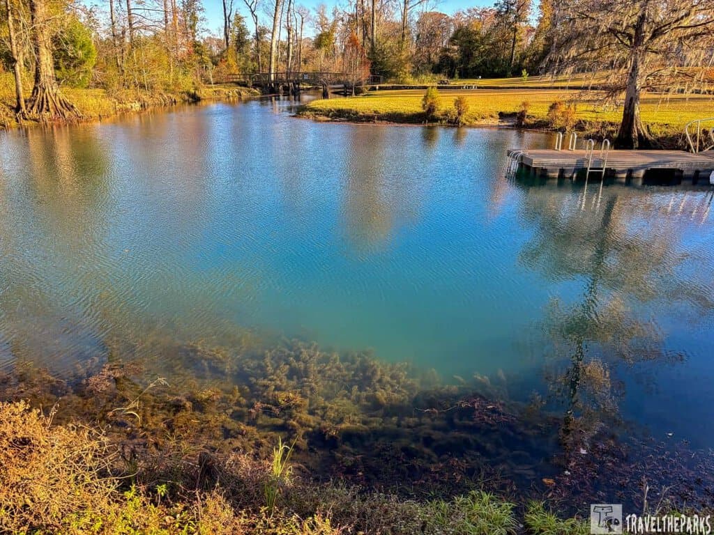a serene pond surrounded by lush vegetation. The clear, turquoise water reveals some aquatic plants near the bottom. A wooden dock with metal railings extends into the water on the right side. In the background, a line of trees with autumn foliage lines the far side of the pond. A grassy area leads up to a wooden bridge, partially visible in the distance, crossing over the pond. The sky is clear, and the scene is bathed in warm, late afternoon sunlight.