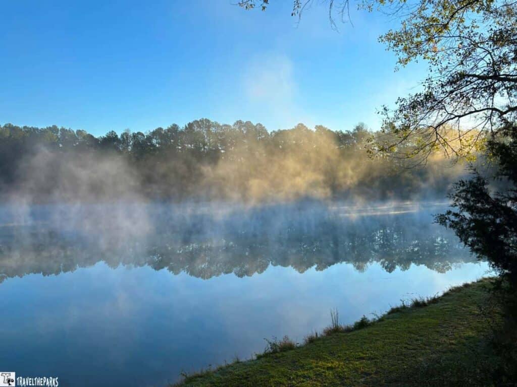 Early morning mist over a reflective lake surrounded by trees.
