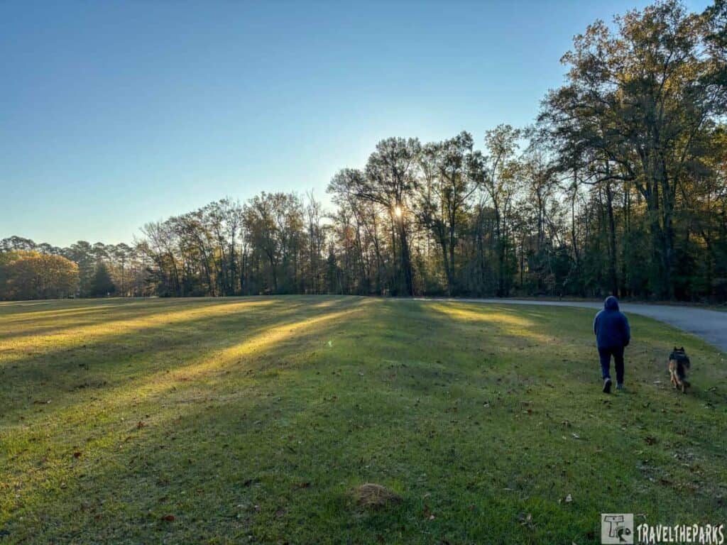 A large grassy field with trees and a person walking a dog on a path at sunset.