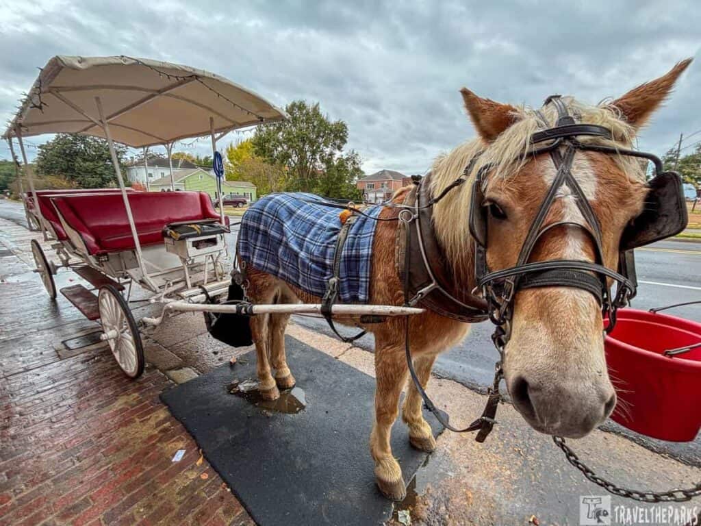 Horse-drawn carriage with a canopy and red seat on a wet street.