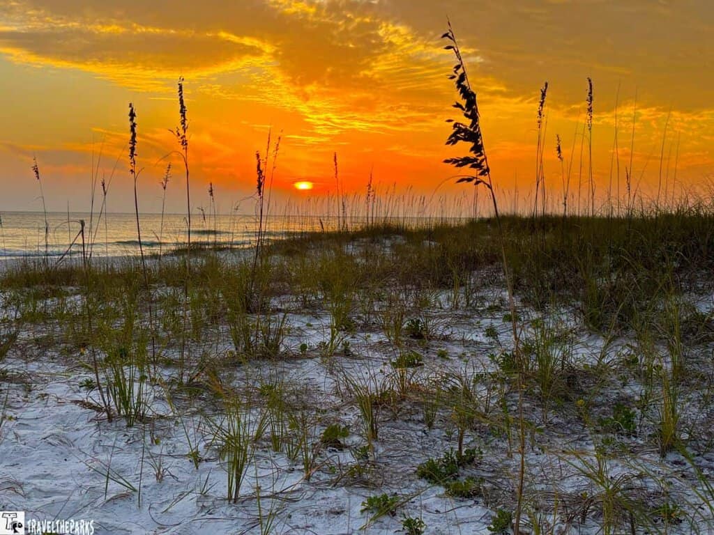 Sunset over a sandy beach with tall grass and calm ocean.
