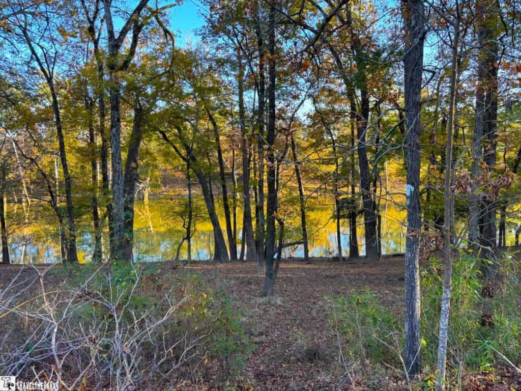 Forest scene with trees and a reflective lake at Moro Bay State Park.