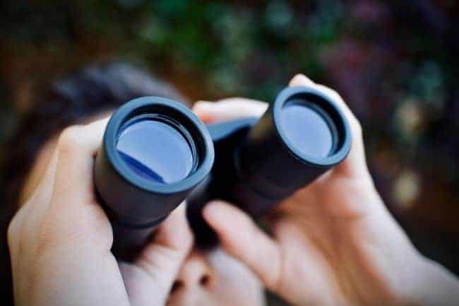 A person holding binoculars up to their eyes with a blurred background.