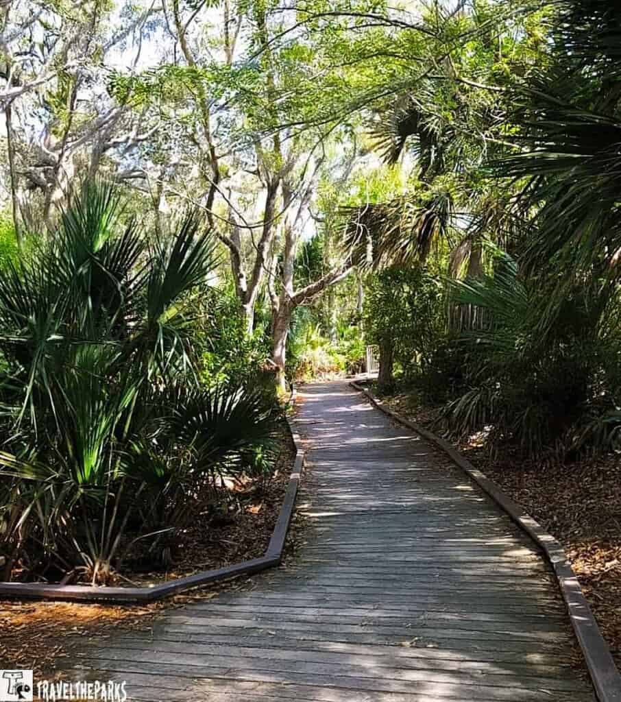 Merritt Island National Wildlife Refuge boardwalk through a lush, green forest with sunlight filtering through the trees.