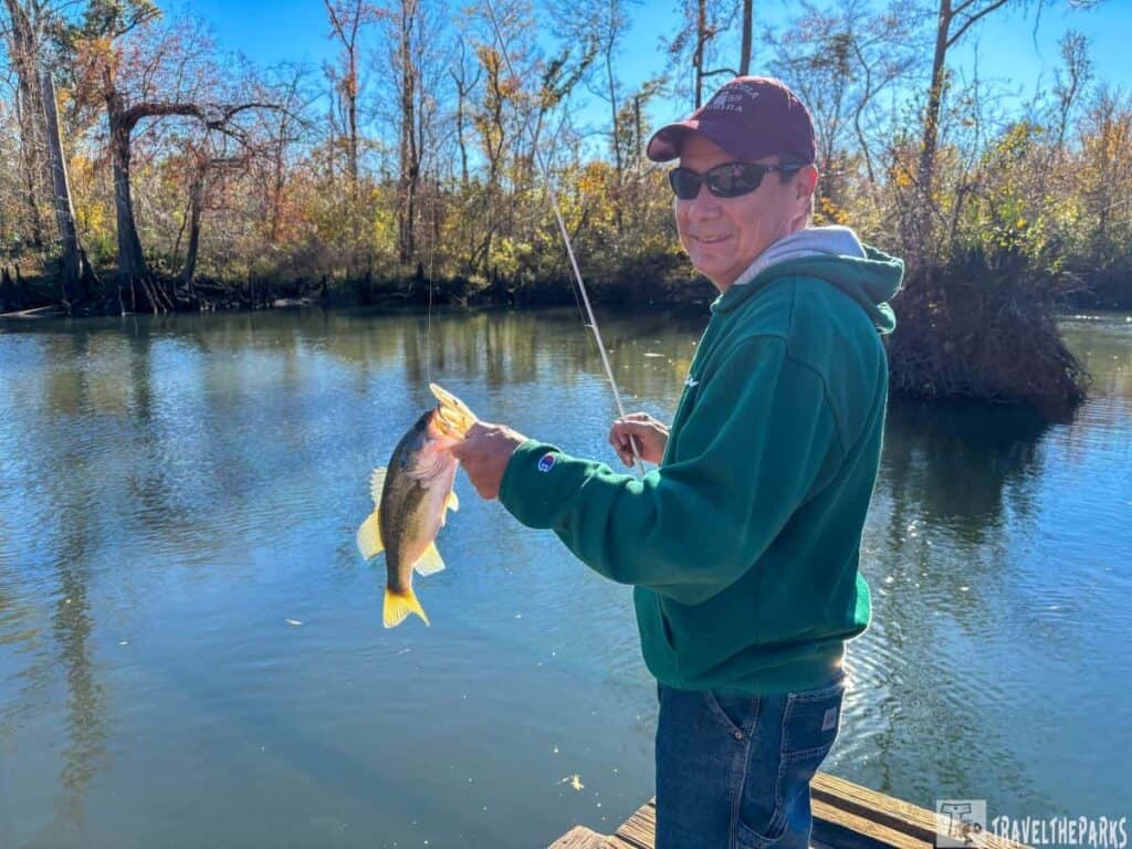Person in a green hoodie holds a fish by a river on a sunny day.