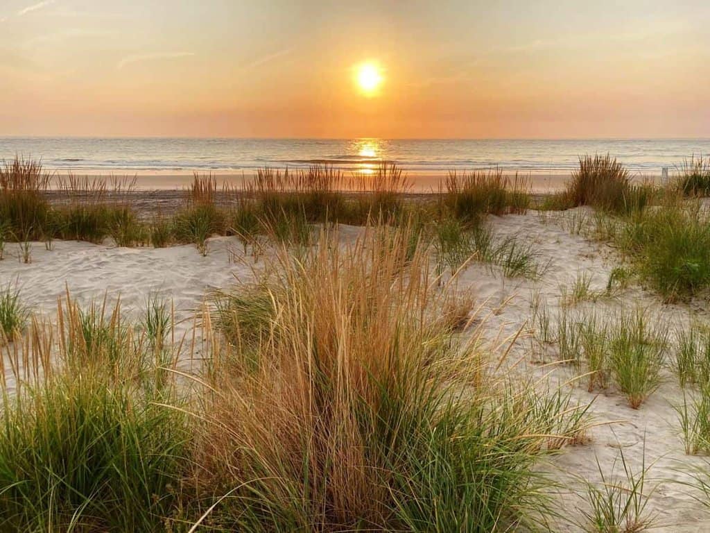 Beach scene near Merritt Island National Wildlife Refuge at sunrise with sand dunes, grasses, ocean, and vibrant sky.
