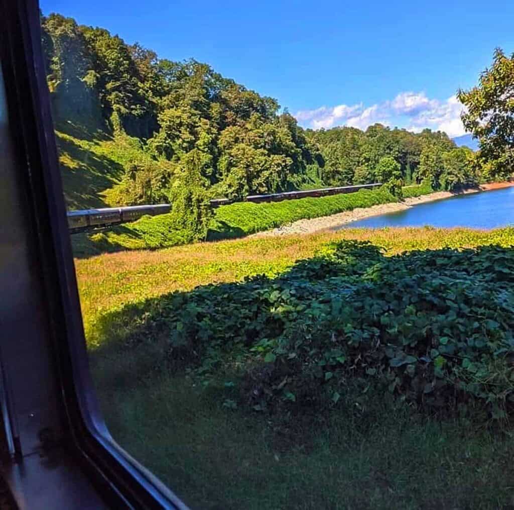 a scenic landscape as seen from a Great Smoky Mountains train window, evident by the frame visible on the left side. The foreground features lush green vegetation, with a patchwork of different shades of green, possibly comprising grass and small bushes. Beyond this, a river or large body of water stretches from the right side of the image to near the center, lined by a rocky shoreline. Adjacent to the water, a train track runs parallel, partly obscured by foliage. In the background, a hill densely covered with trees extends from the left to the center, under a vivid blue sky scattered with a few white clouds.