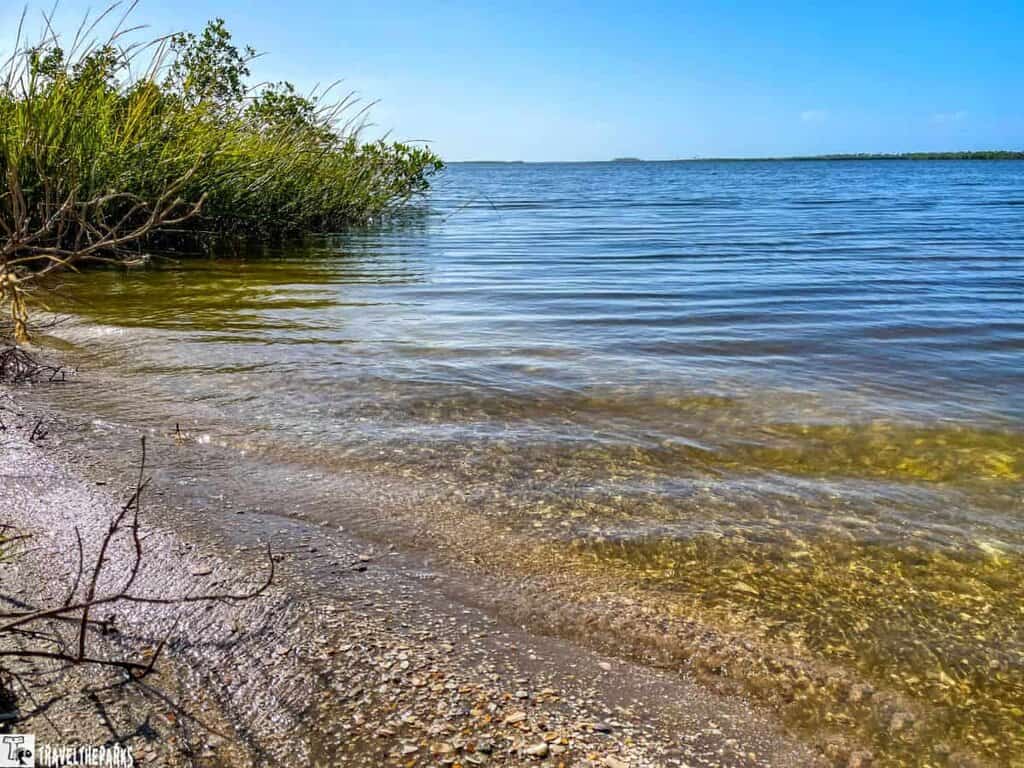 A shoreline with cordgrass and calm lagoon waters under a blue sky.