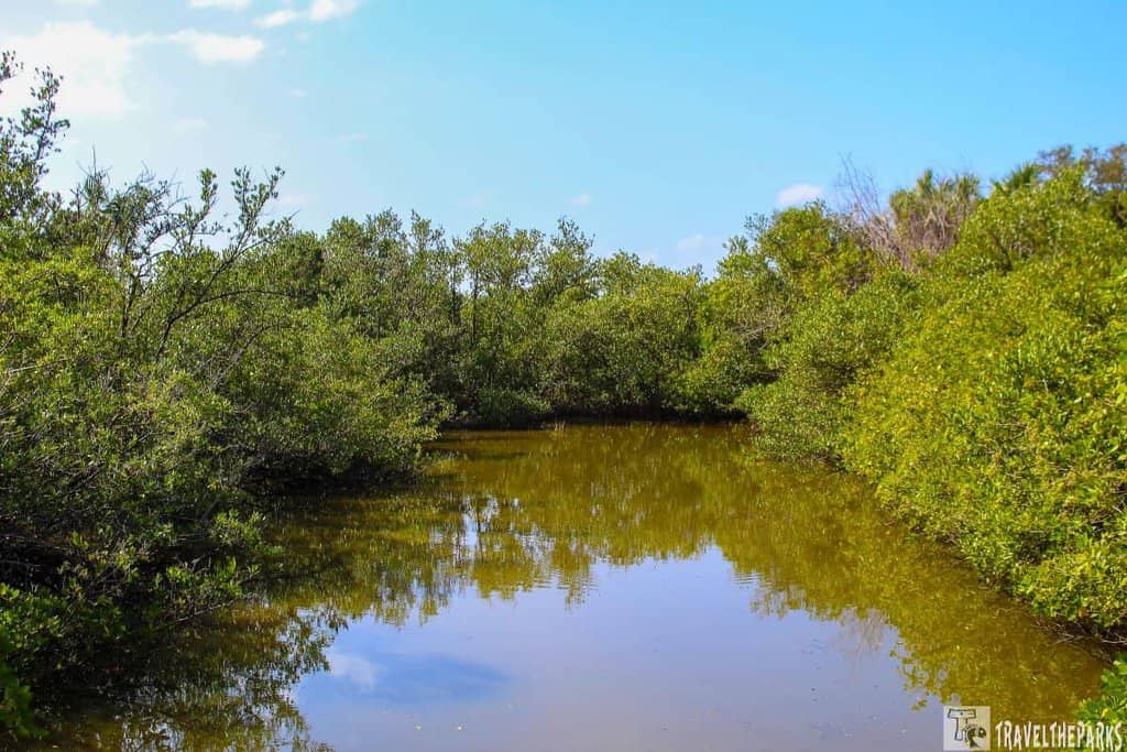 Calm Indian river lagoon canal bordered by dense green foliage under a blue sky with scattered clouds.