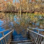 A reflective river surrounded by a forest in late autumn, with leafless trees and scattered fall colors.