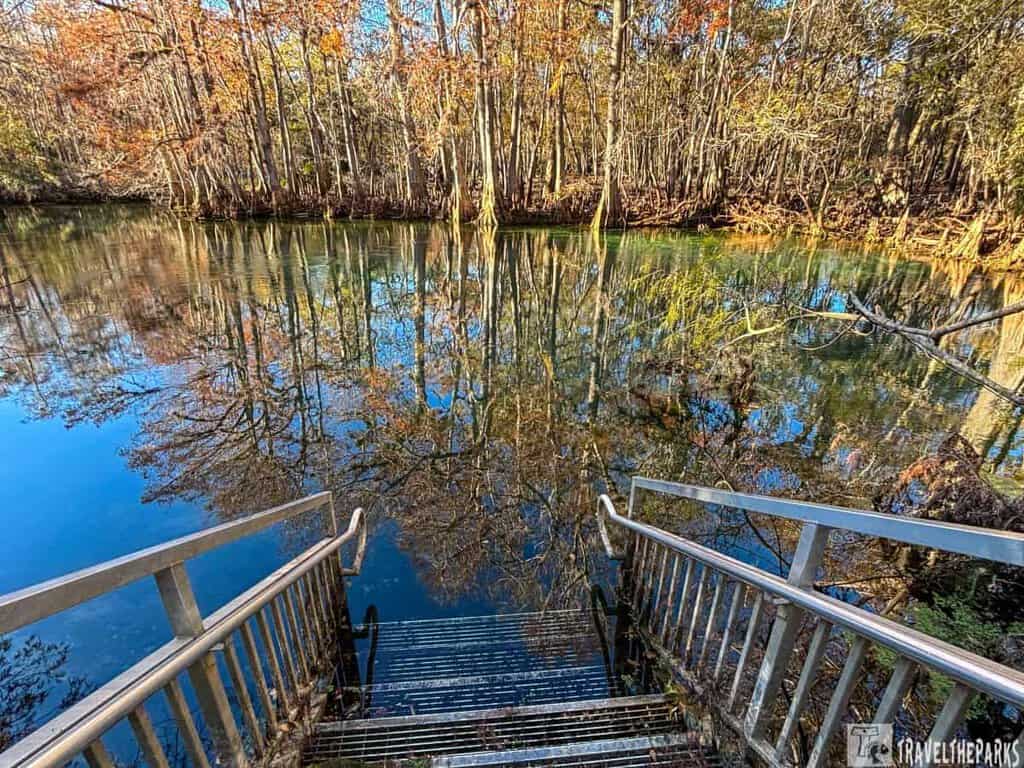 A reflective river surrounded by a forest in late autumn, with leafless trees and scattered fall colors.