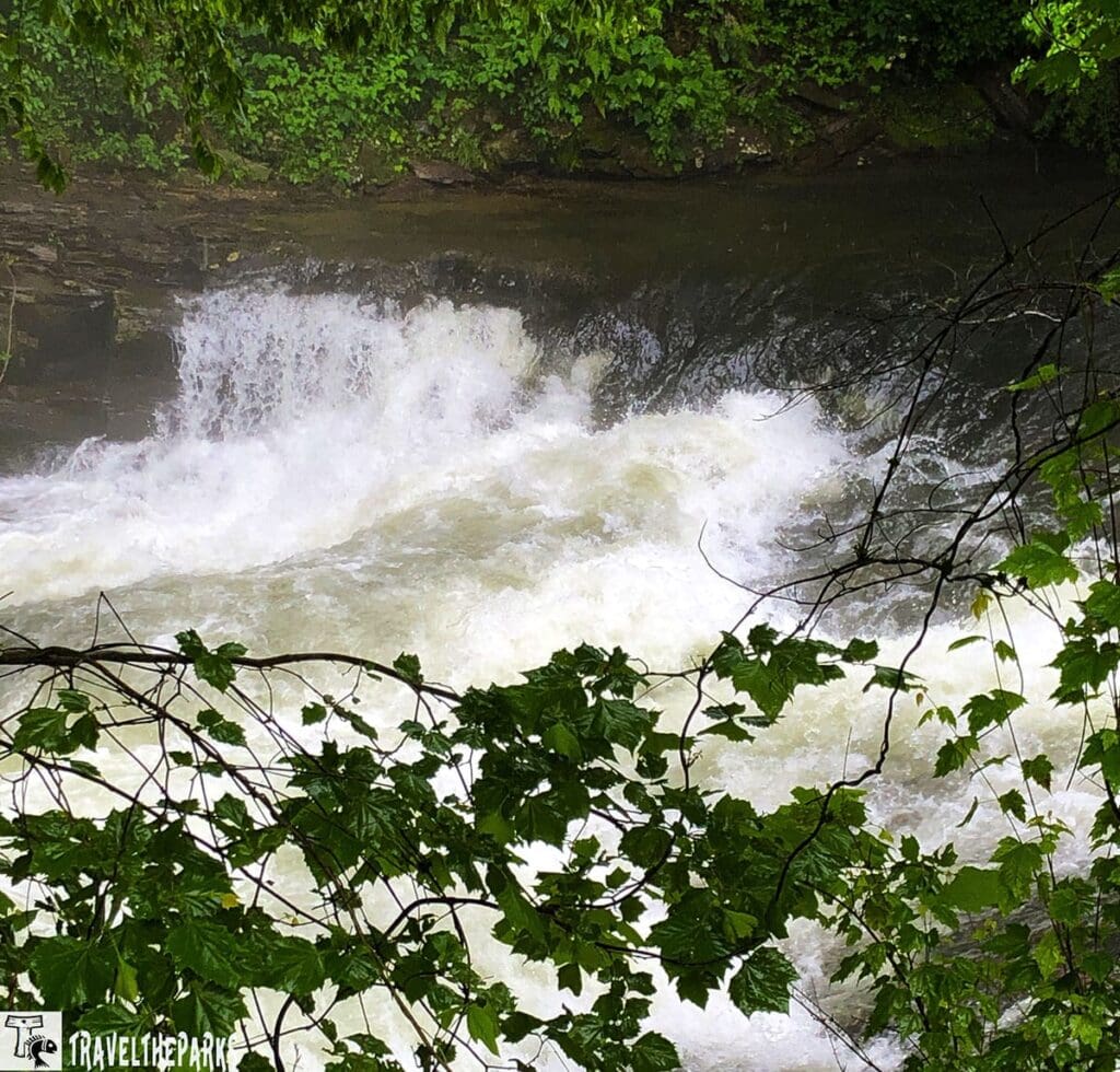 A waterfall surrounded by dense greenery with overhanging branches and leaves.