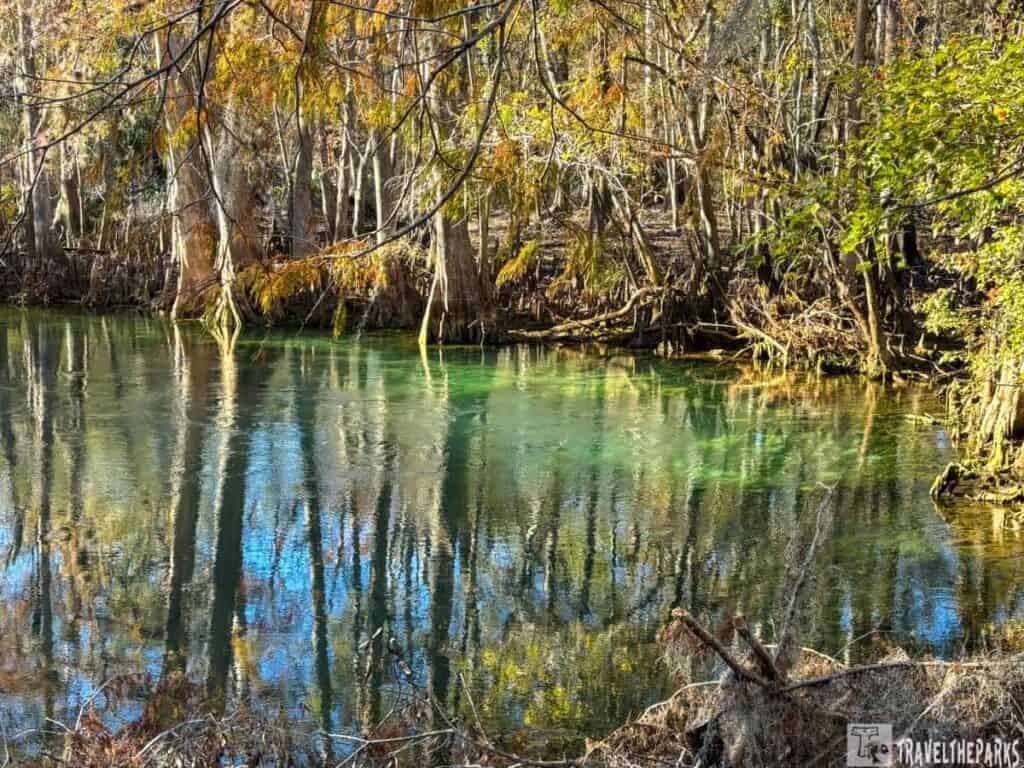 A reflective forest pond with bare trees and fallen leaves. A reflective river surrounded by a forest in late autumn, with leafless trees and scattered fall colors.
