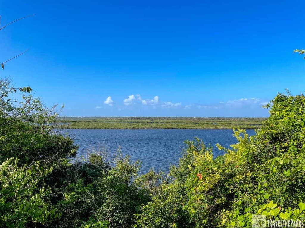 View of a wide Indian river at the Merritt Island National Wildlife Refuge with greenery in the foreground and a boat on the water.