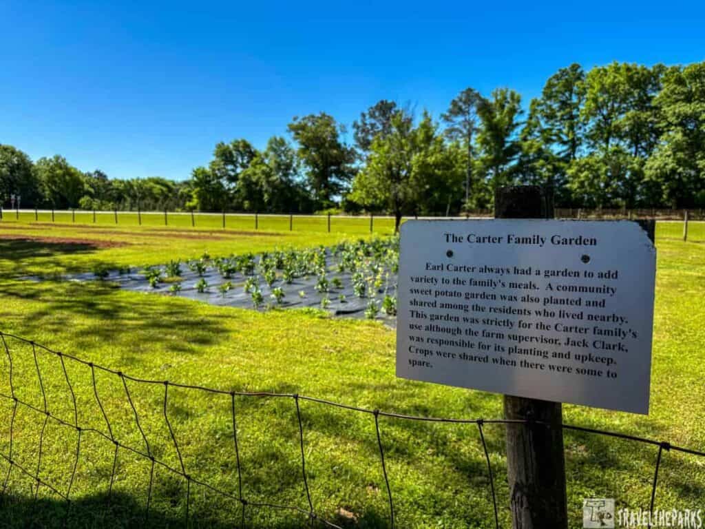 A garden with rows of plants, a wire fence, and a sign reading 'The Carter Family Garden' under a clear blue sky.