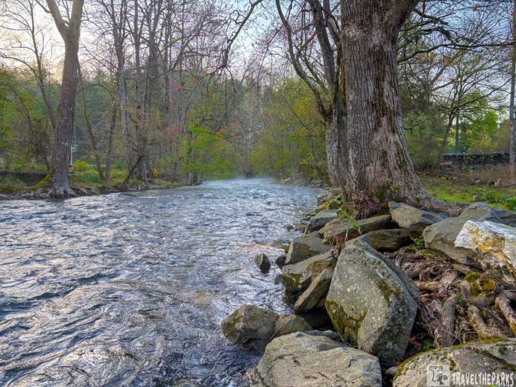 A flowing Deep Creek lined with rocks and trees in a forest setting.