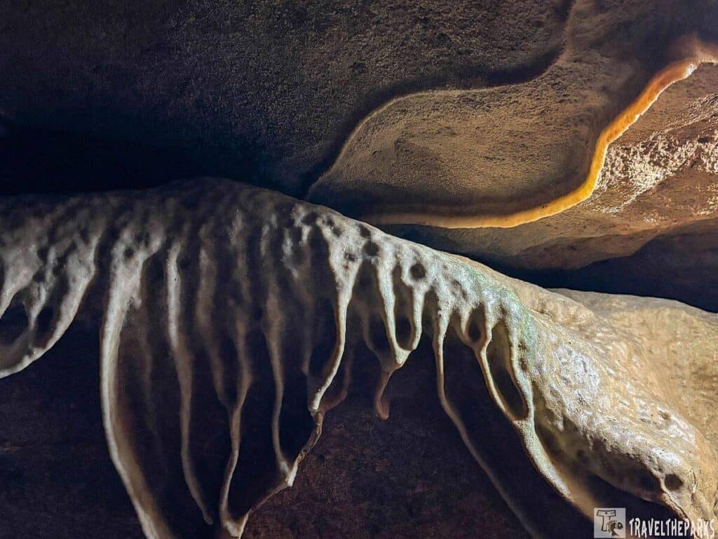 Ribbed stalactite formations hanging in a cave with beige limestone ceiling.