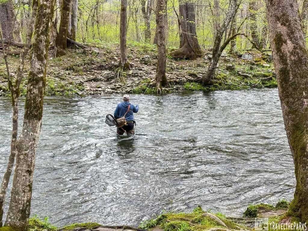 Oconaluftee Trail-Oconaluftee Mountain Farm Museum. A person standing in a river surrounded by a forest, holding a fishing net.