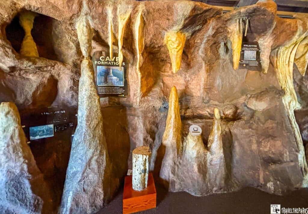 Exhibit of cave formations with stalactites and stalagmites at Florida Caverns State Park.
