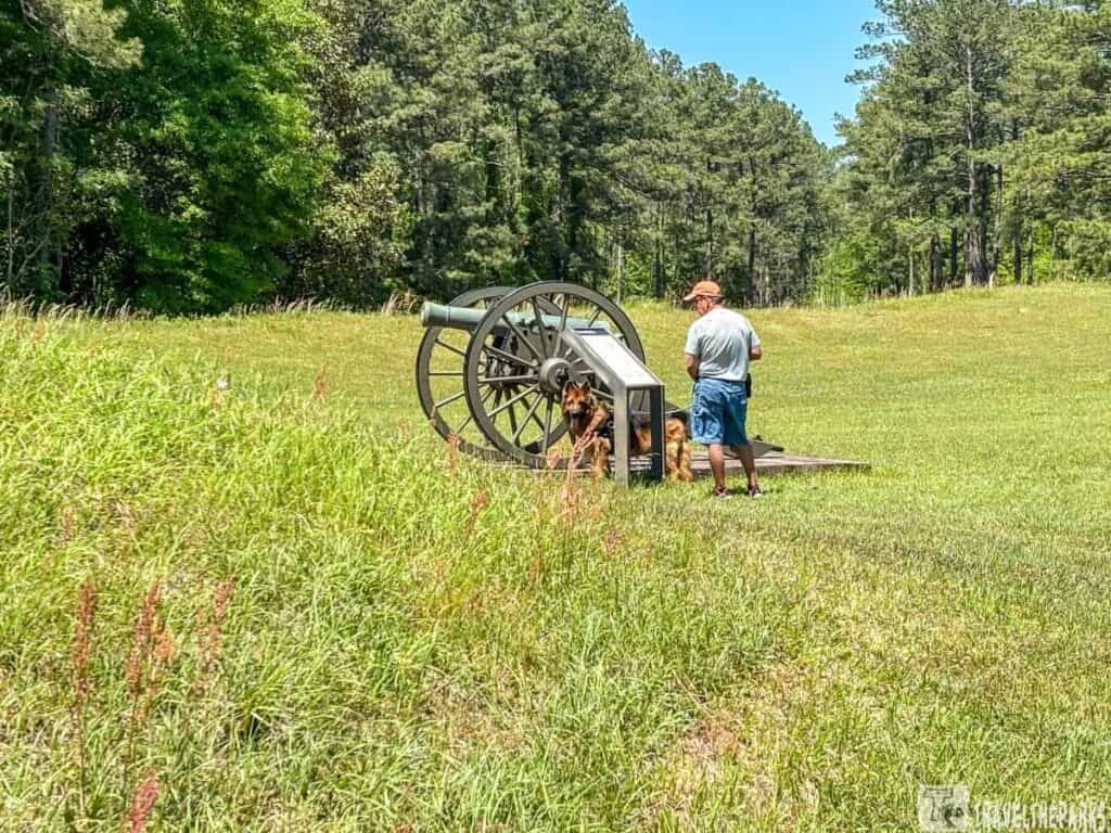 A grassy field on a sunny day, with a large historical cannon as the focal point. The cannon, mounted on a wooden carriage with large spoked wheels, is positioned on the right side of the image. It is metallic gray and appears to be an old military artillery piece. A person in a light gray shirt, blue shorts, and a brown cap is standing near the cannon, facing away from the camera. Beside the person is a large dog, possibly a German Shepherd, standing next to the cannon. In the background, a dense area of tall, green trees borders the open field, enhancing the scene with natural greenery.