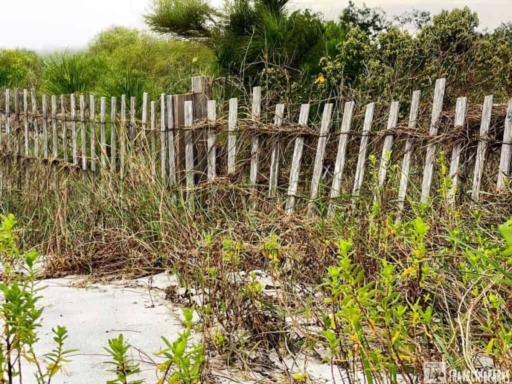 an old, wooden fence running diagonally across the scene from left to right, made of vertical slats tied together with wire. The fence is weathered, with visible signs of aging such as a patina and rough texture. In the foreground, various types of grass and small green bushes grow, some climbing up the fence. The vegetation appears wild and natural, with different shades of green. Beyond the fence, there is a dense backdrop of taller bushes and trees, creating a layered effect with varying shades of green and some yellow. The sky is partially visible, appearing overcast or foggy.