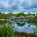 A row of buildings with green roofs by the water at Silver Springs State Park, surrounded by trees and boats, under a cloudy sky.