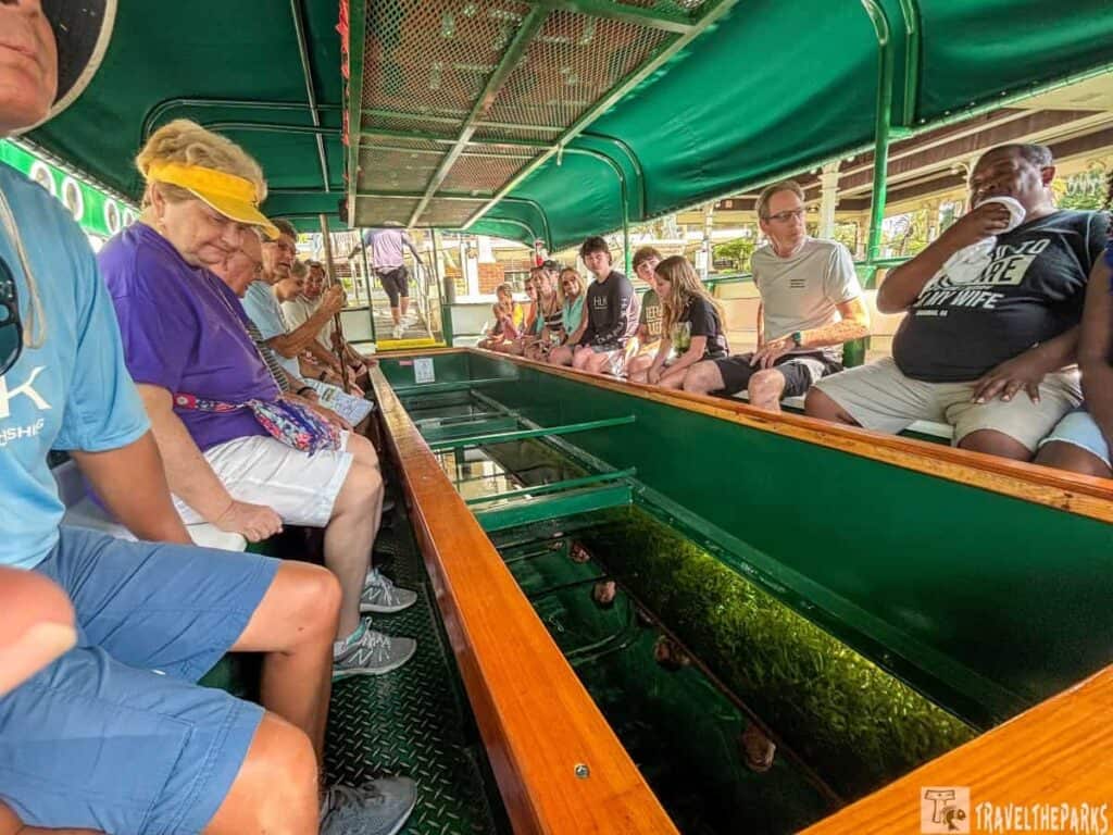 Passengers on a glass-bottom boat at Silver Springs State Park, viewing aquatic life below.