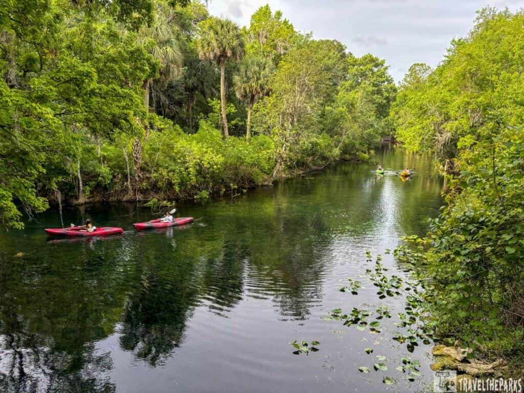 Kayakers paddling on a river surrounded by dense greenery at Silver Springs State Park.