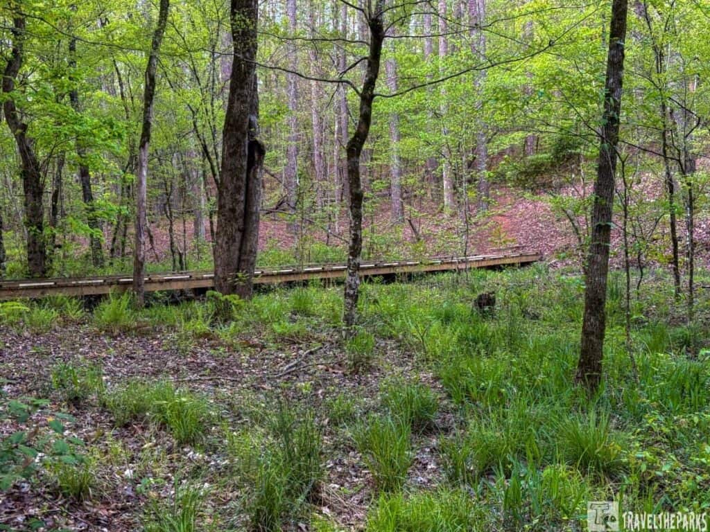 a lush forest scene at Hard Labor Creek State Park. A wooden boardwalk stretches horizontally across the midsection of the image, providing a pathway through the dense woodland. Tall trees with slender trunks and bright green leaves dominate the landscape, casting light shadows on the forest floor. The ground is covered with a mix of ferns and low-lying vegetation, and a sprinkling of fallen leaves. The background reveals a gently rising hill covered in more trees and brush. The overall atmosphere is calm and natural, with the vibrant green indicating spring or early summer.